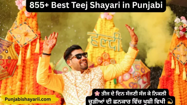 855+ Best Teej Shayari in Punjabi