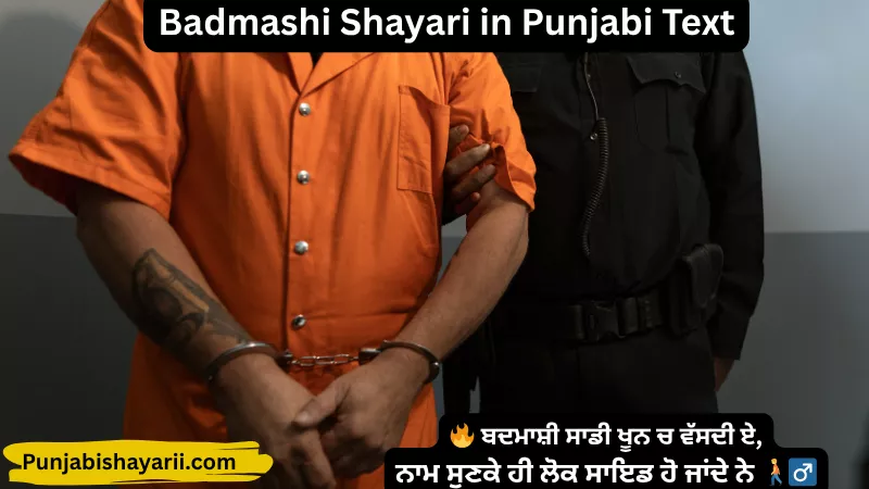 Badmashi Shayari in Punjabi Text