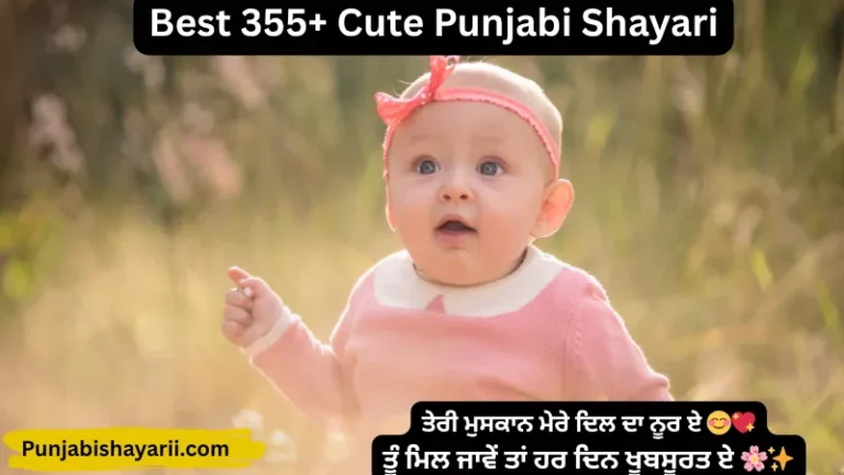 Best 355+ Cute Punjabi Shayari