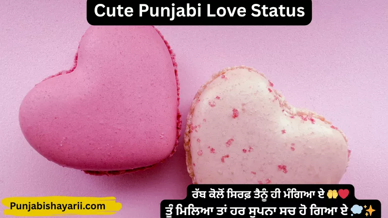 Cute Punjabi Love Status