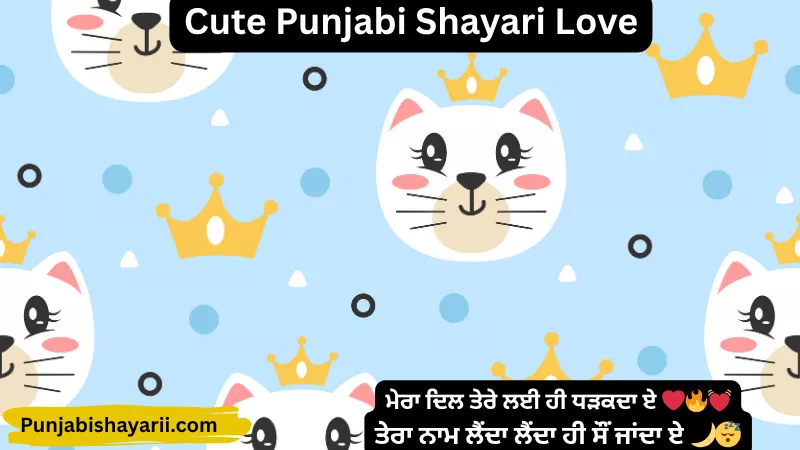 Cute Punjabi Shayari Love
