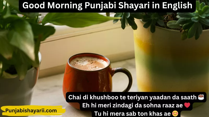 Good Morning Punjabi Shayari in English