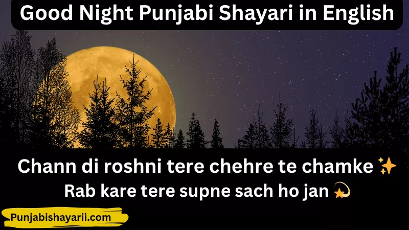 Good Night Punjabi Shayari in English