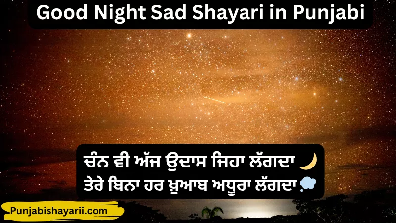 Good Night Sad Shayari in Punjabi