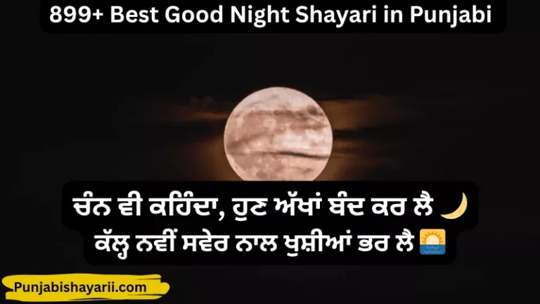 Good Night Shayari in Punjabi