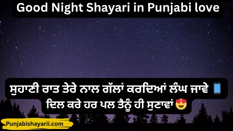 Good Night Shayari in Punjabi love