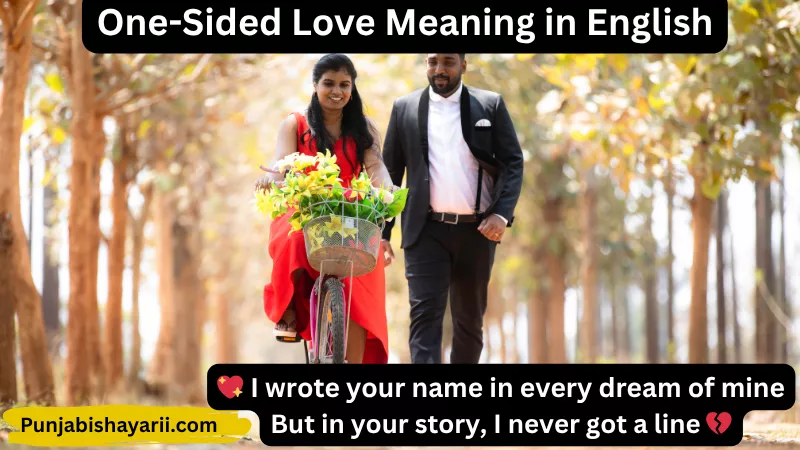 One-Sided Love Meaning in English