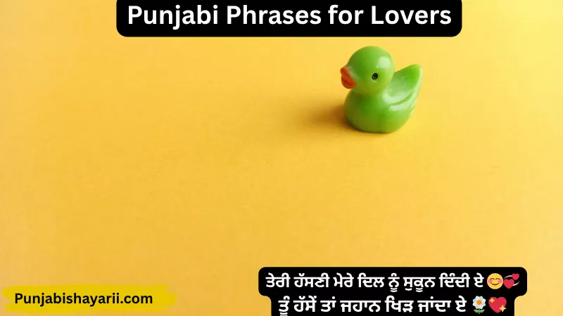 Punjabi Phrases for Lovers