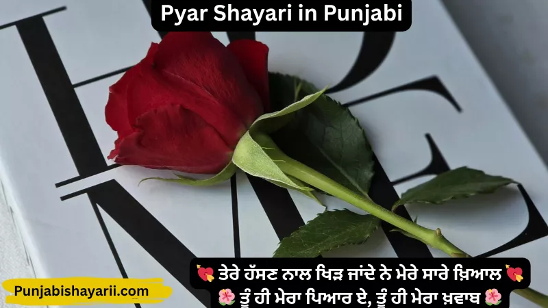 Pyar Shayari in Punjabi