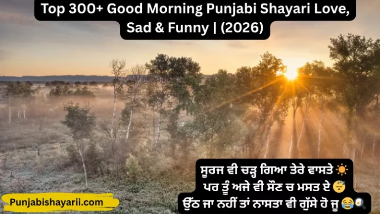 Top 300+ Good Morning Punjabi