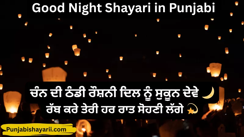 best Good Night Shayari in Punjabi
