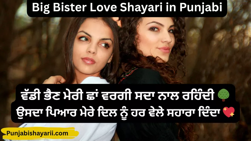 big sister love shayari in punjabi