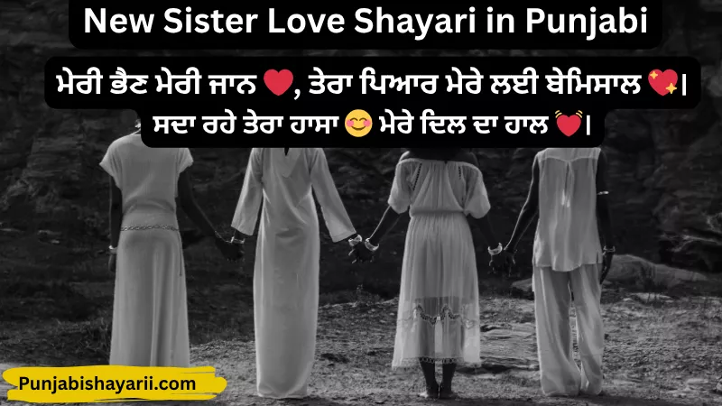 new sister love shayari in punjabi