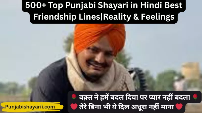 500+ Top Punjabi Shayari in Hindi