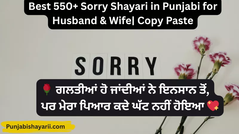 Best 550+ Sorry Shayari in Punjabi