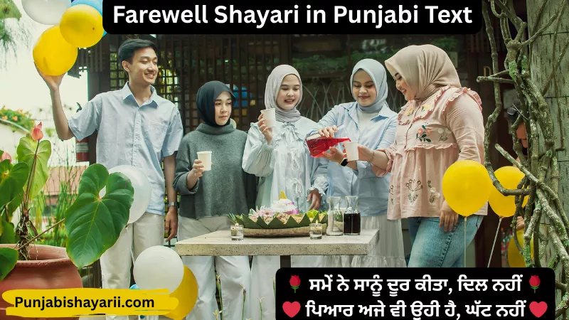 Farewell Shayari in Punjabi Text