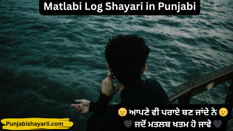 Matlabi Log Shayari in Punjabi