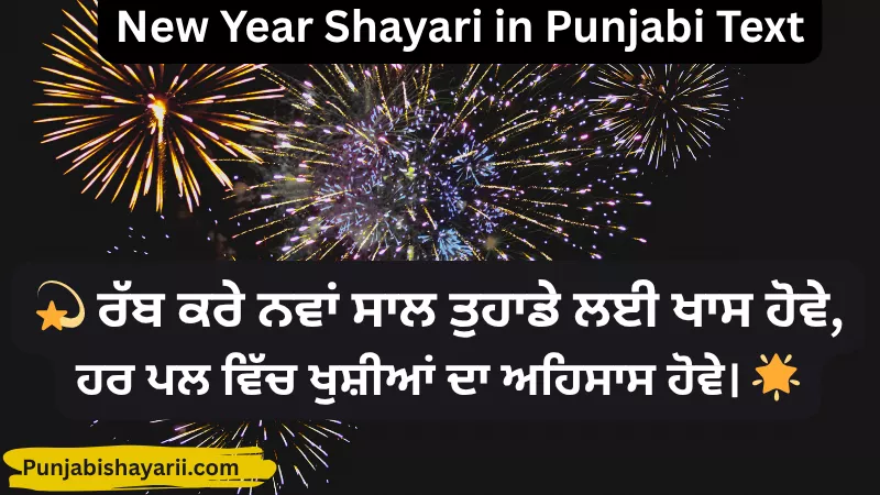 New Year Shayari in Punjabi Text