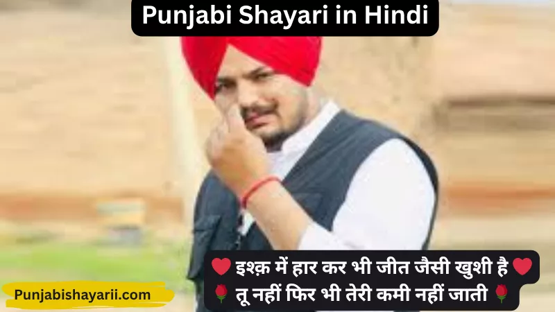 Punjabi Shayari in Hindi