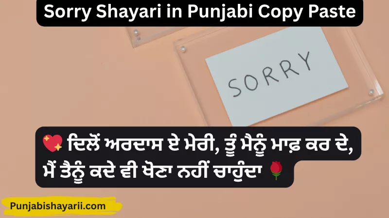 Sorry Shayari in Punjabi Copy Paste