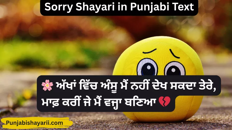 Sorry Shayari in Punjabi Text