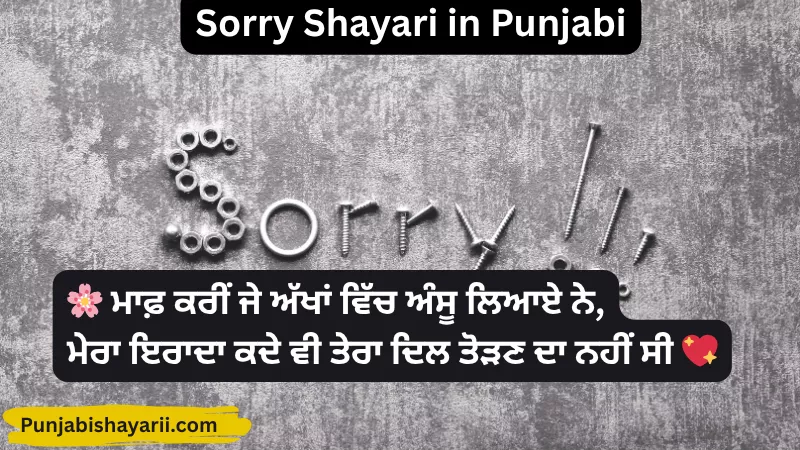 Sorry Shayari in Punjabi